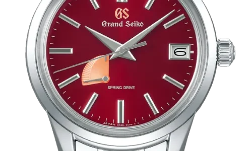 SBGA499